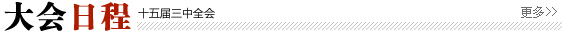 大会议程