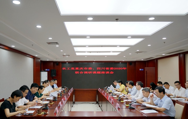 联合调研课题座谈会.JPG