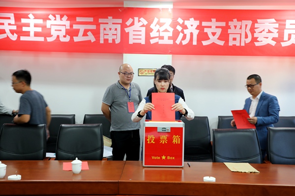 选举2.JPG