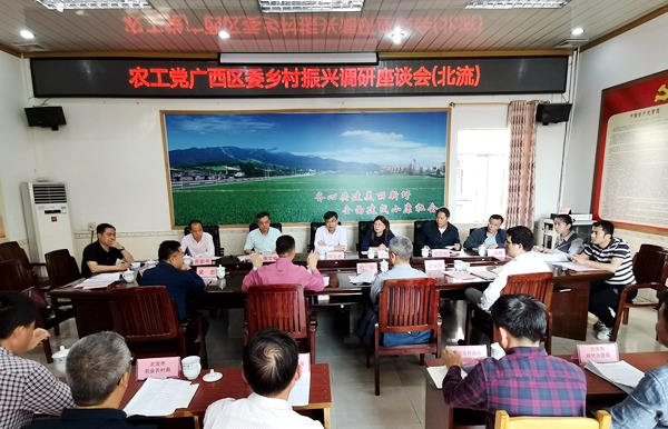 农工党广西区委在北流市新圩镇政府召开实施乡村振兴战略调研座谈会.jpg