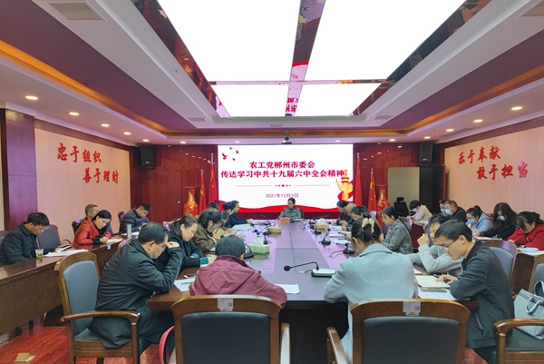传达学习十九届六中全会精神.jpg