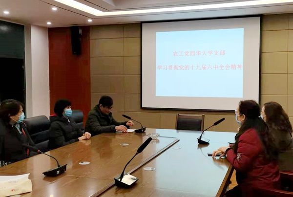 农工党西华大学支部认真学习党的十九届六中全会精神.jpg