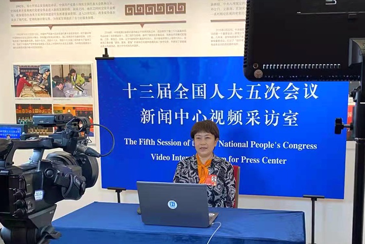 何学彬代表：关于加大乡村振兴文旅康养融合项目政策扶持力度的建议