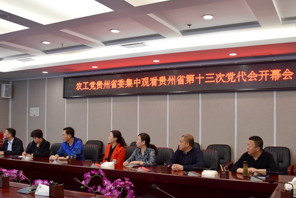农工党贵州省委机关观看中共贵州省第十三次党代会开幕会.jpg