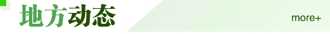 地方动态