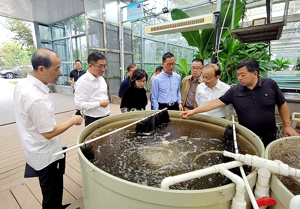 腾达兔业参观 (3).jpg